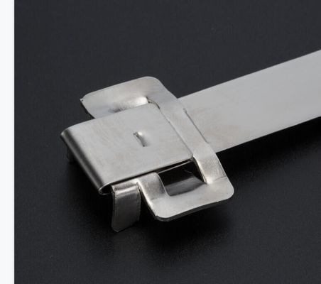 Stainless Steel Band with Compatible Buckles