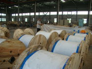 Non - Alloy Electro Zinc Coated Wire For Aluminium Conductor Steel Reinforced