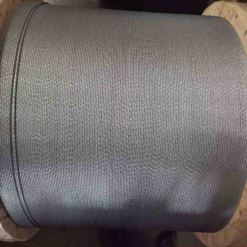 8x19S+FC Galvanized Steel Wire Rope AISI 6mm